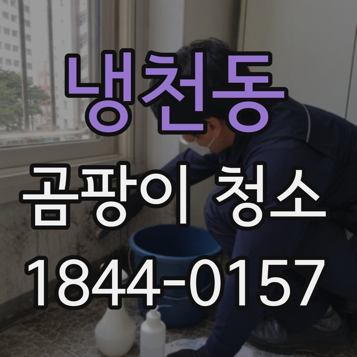 냉천동 곰팡이 청소