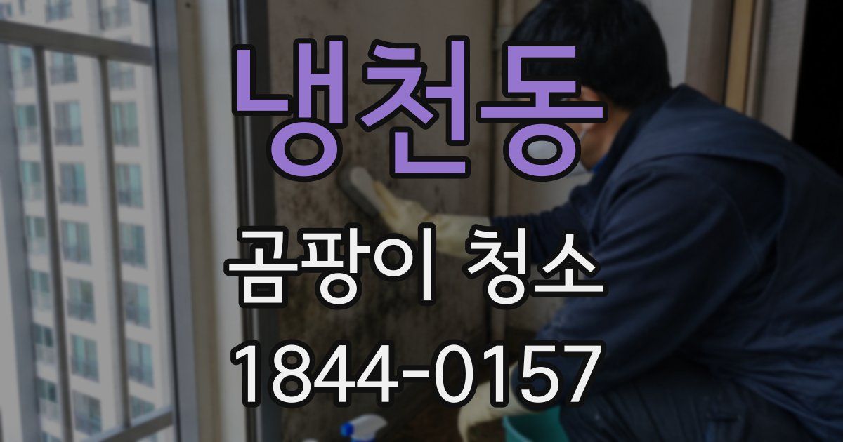 냉천동 곰팡이 청소