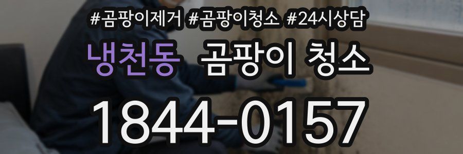 냉천동 곰팡이 청소