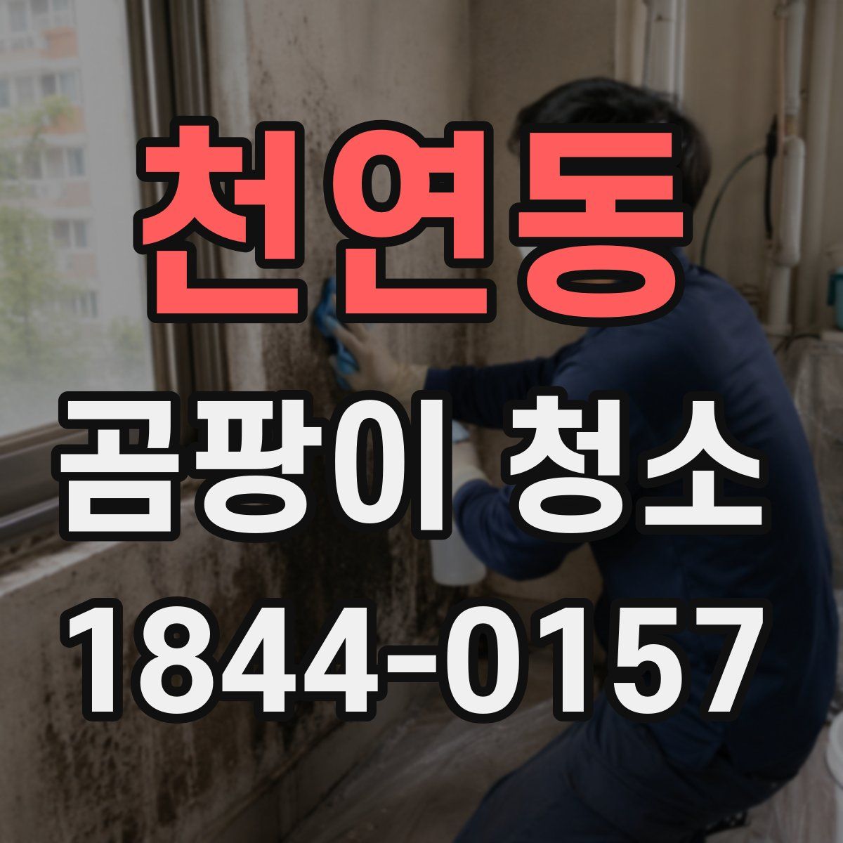 천연동 곰팡이 청소