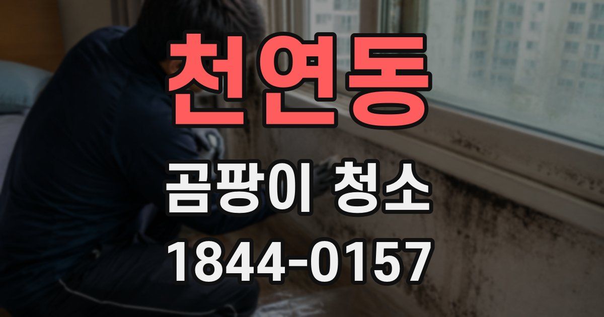 천연동 곰팡이 청소
