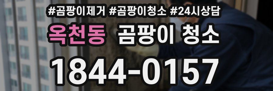 옥천동 곰팡이 청소