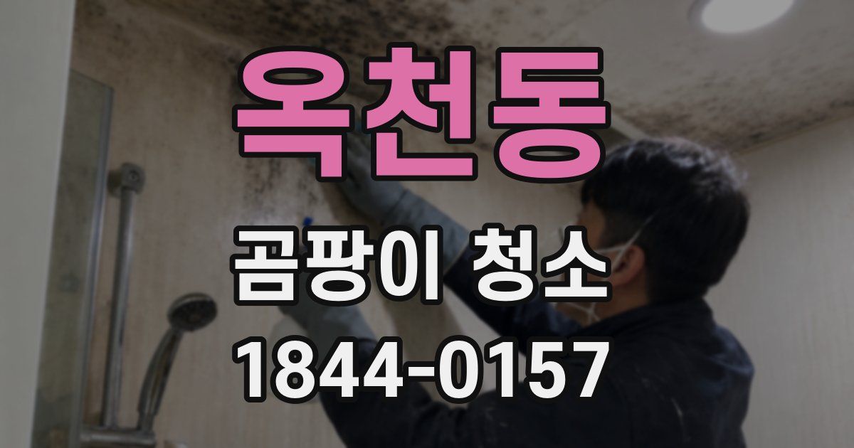 옥천동 곰팡이 청소