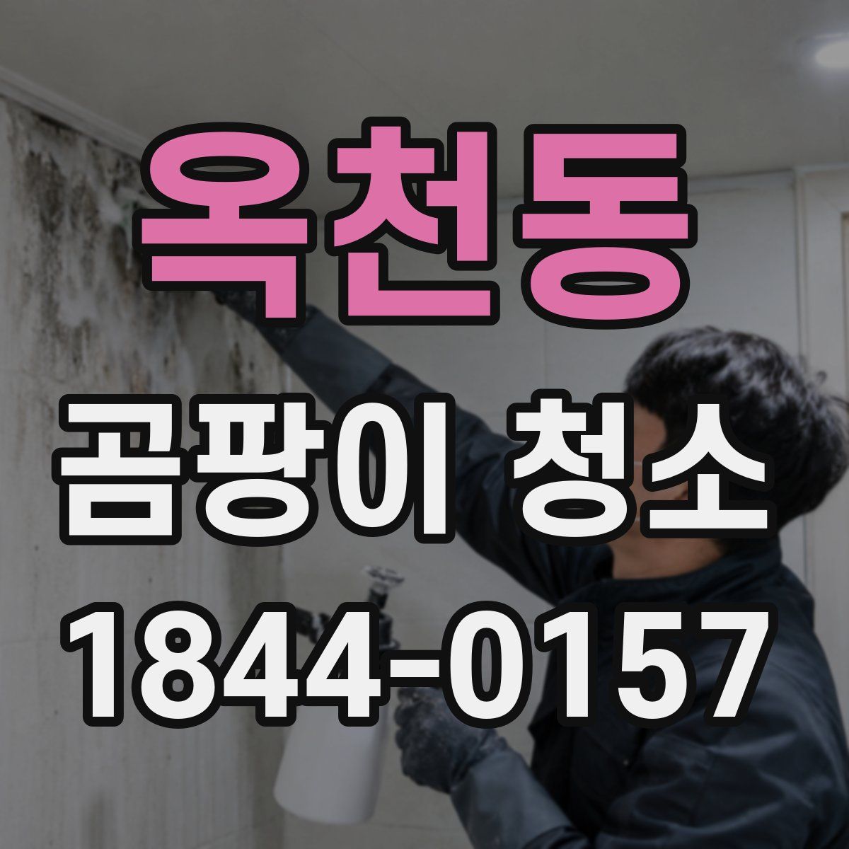 옥천동 곰팡이 청소