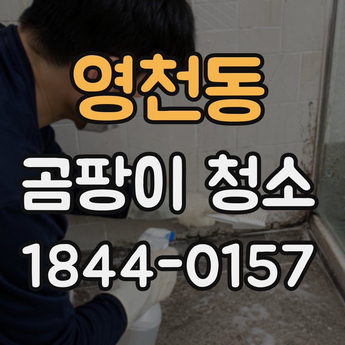 영천동 곰팡이 청소 재발을 줄이려면 먼저 살필 표면 상태