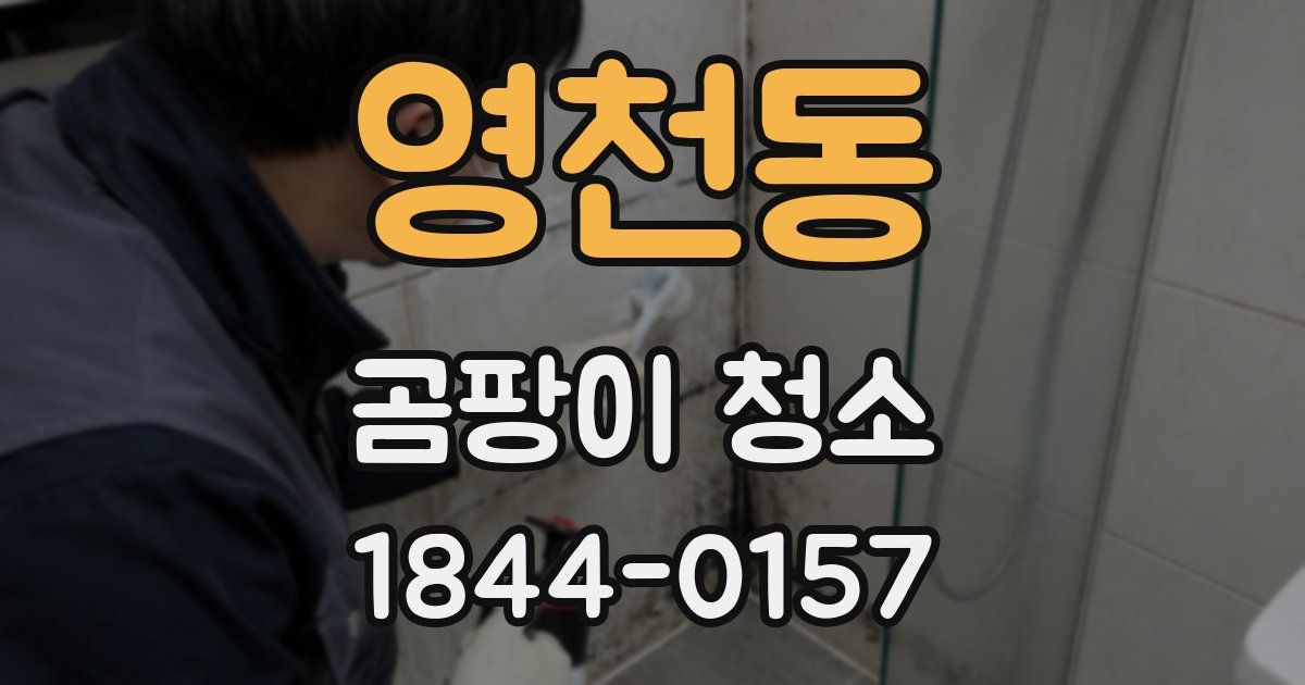 영천동 곰팡이 청소