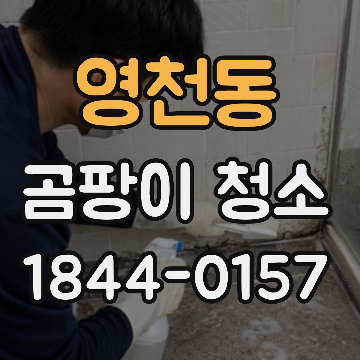 영천동 곰팡이 청소