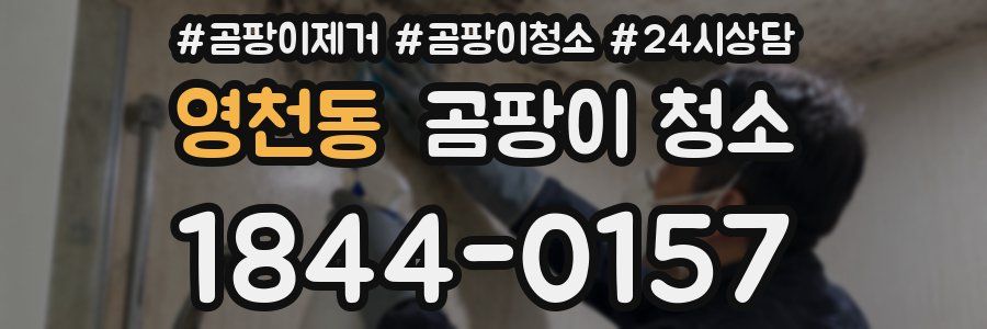 영천동 곰팡이 청소