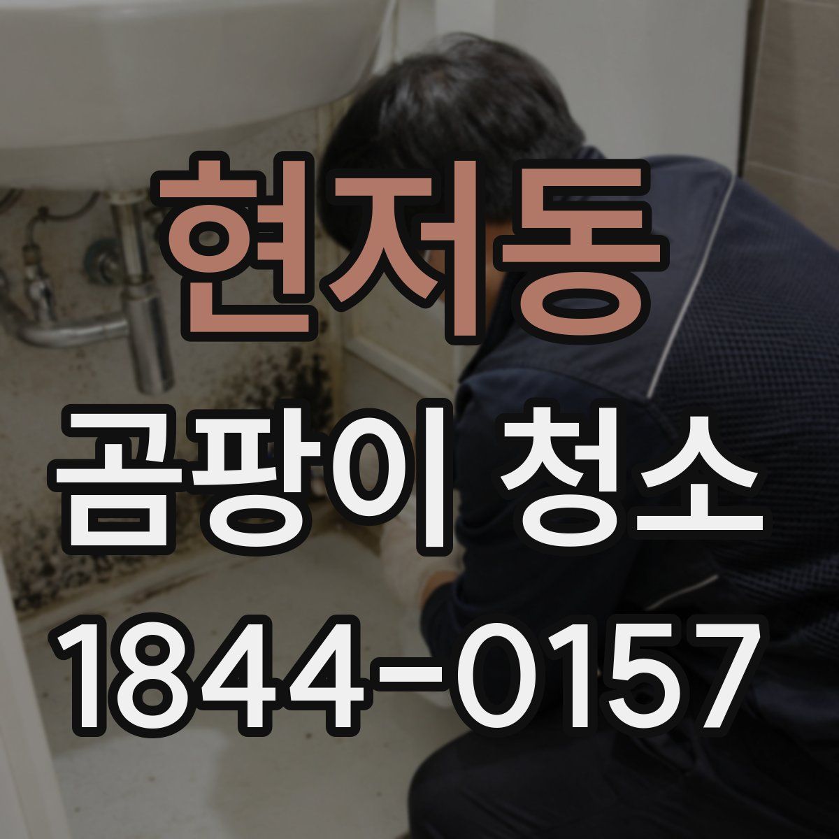 현저동 곰팡이 청소