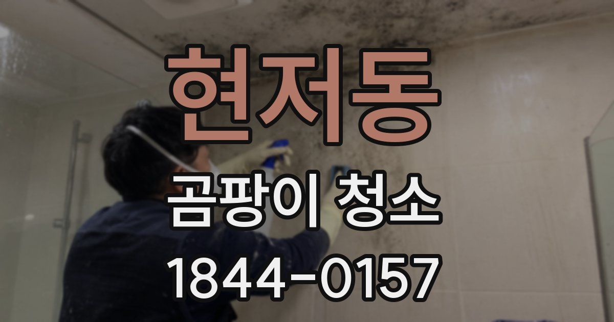 현저동 곰팡이 청소