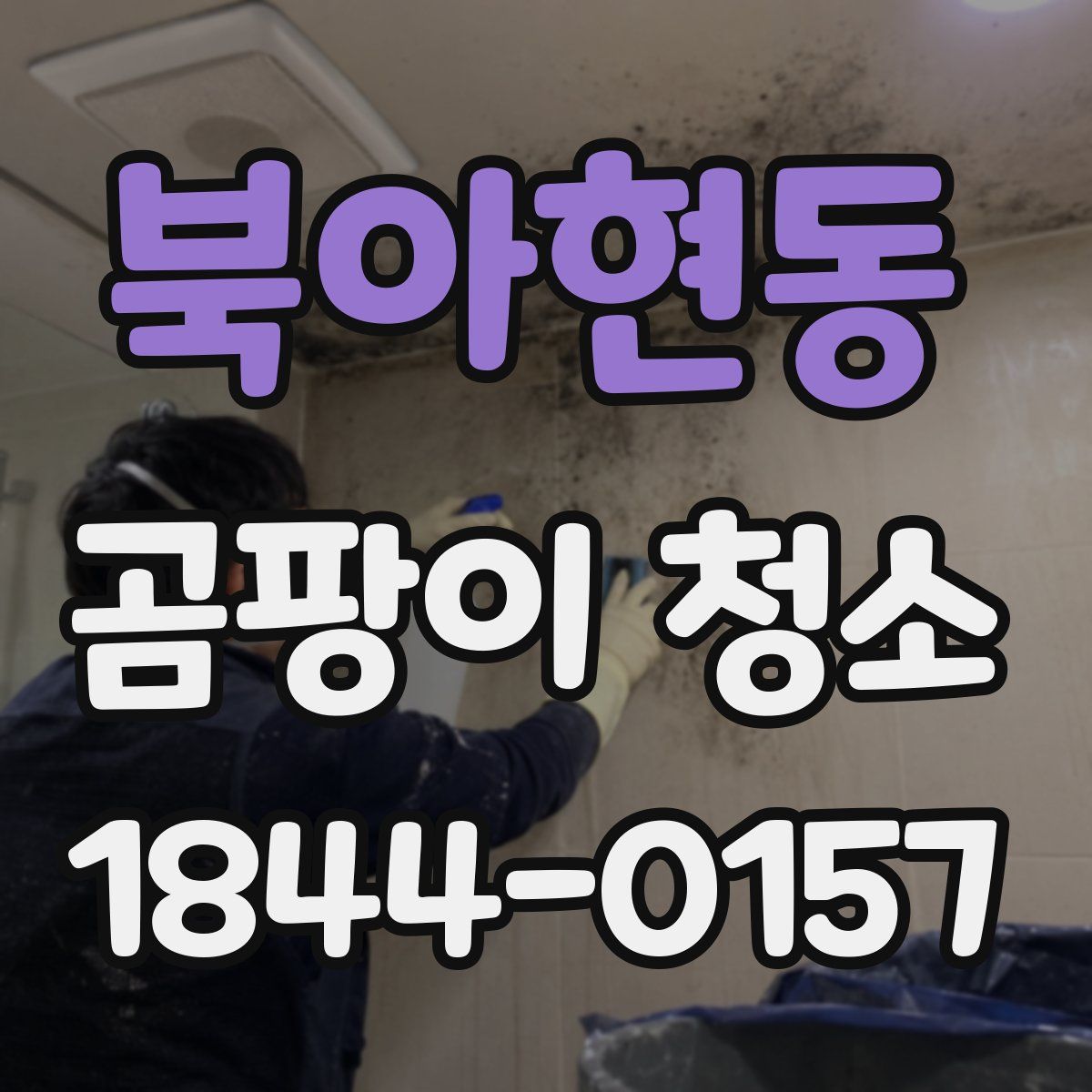 북아현동 곰팡이 청소