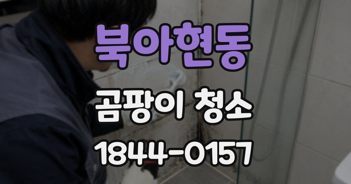 북아현동 곰팡이 청소