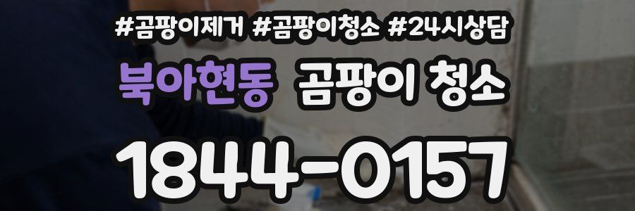 북아현동 곰팡이 청소