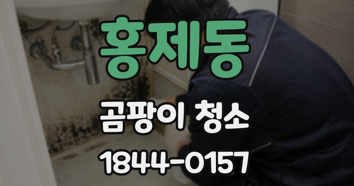 홍제동 곰팡이 청소