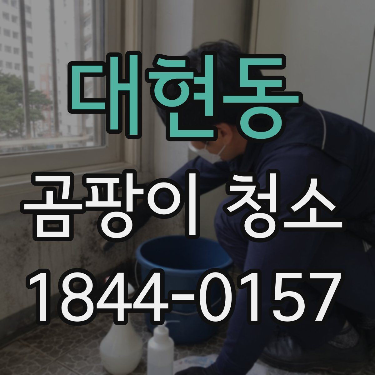 대현동 곰팡이 청소 욕실 줄눈과 실리콘을 따로 보는 관리 기준