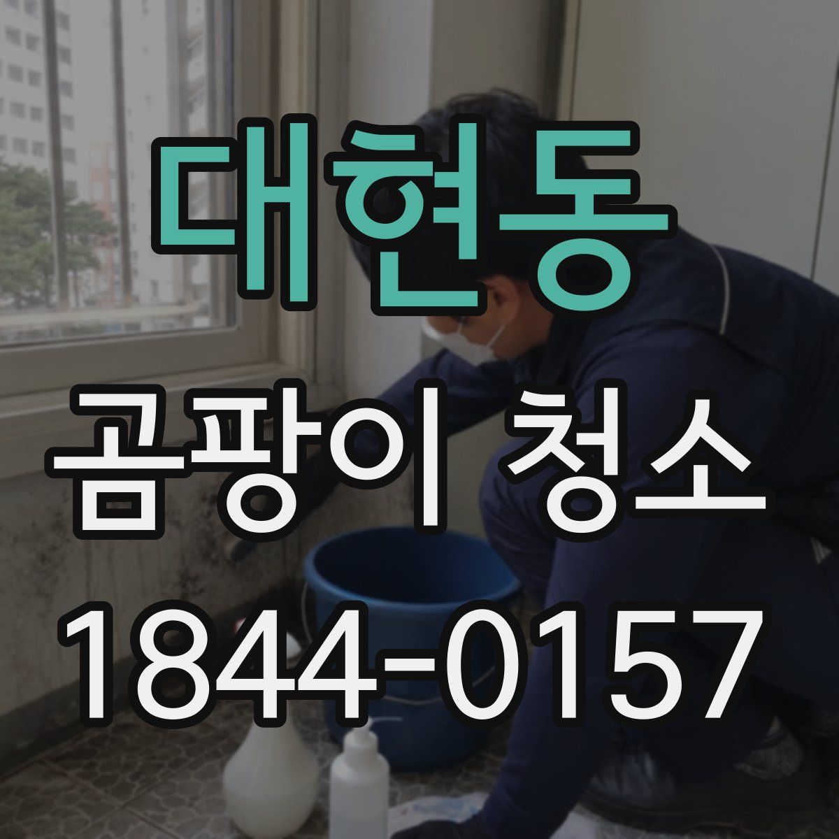 대현동 곰팡이 청소