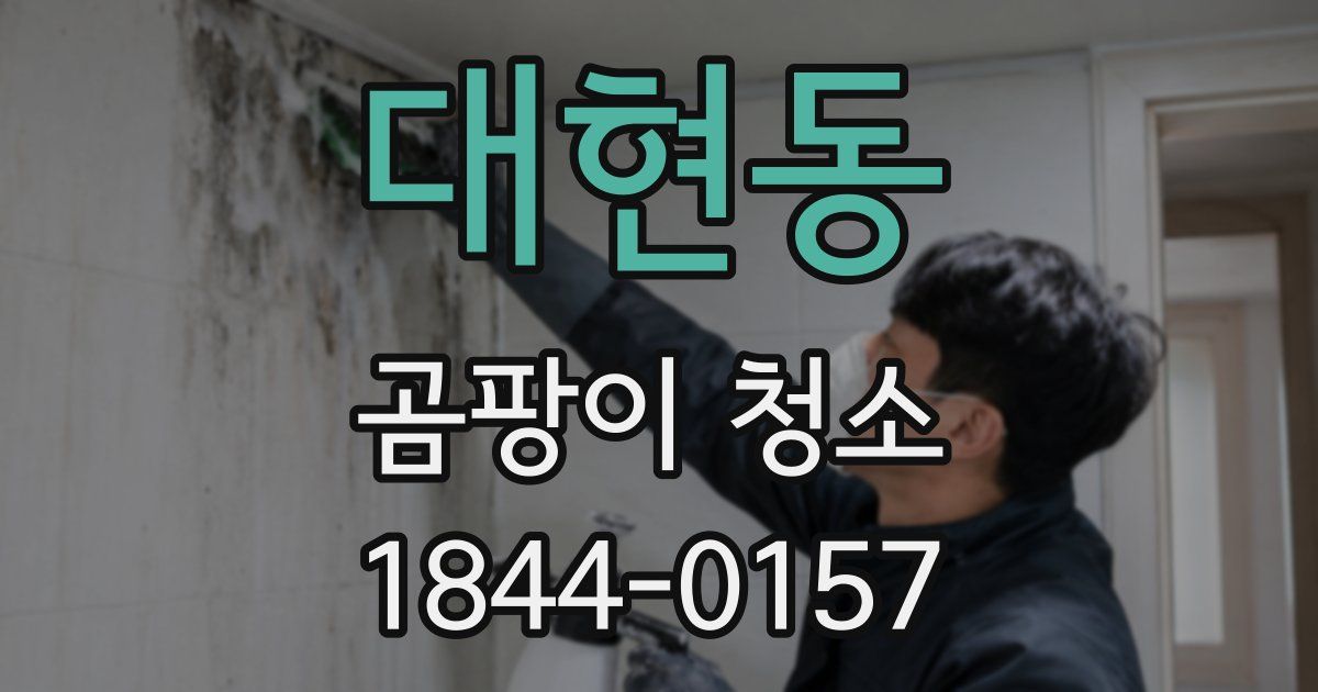 대현동 곰팡이 청소