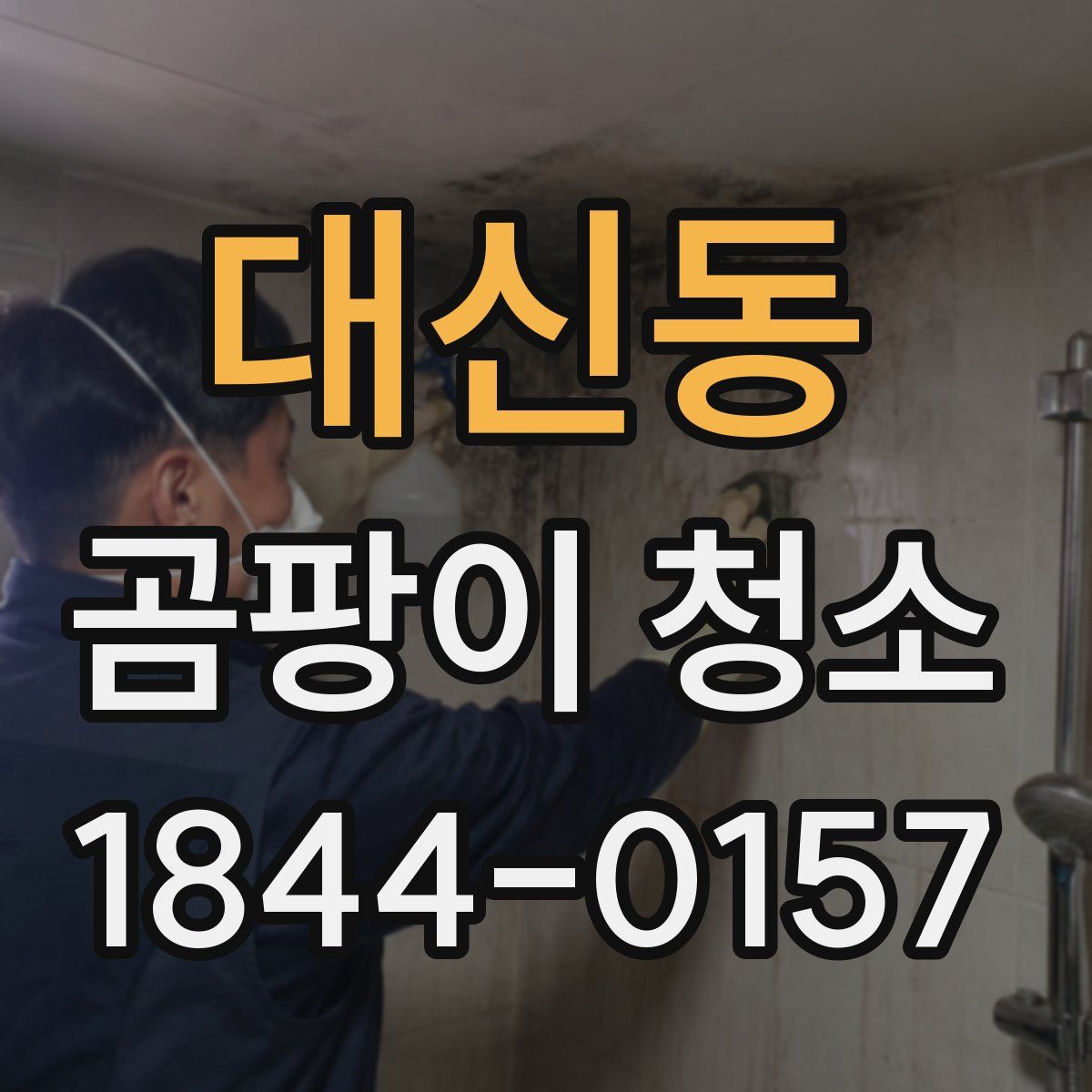 대신동 곰팡이 청소