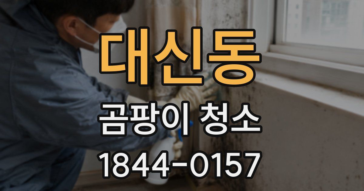 대신동 곰팡이 청소