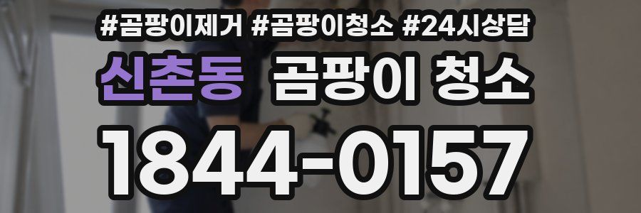 신촌동 곰팡이 청소