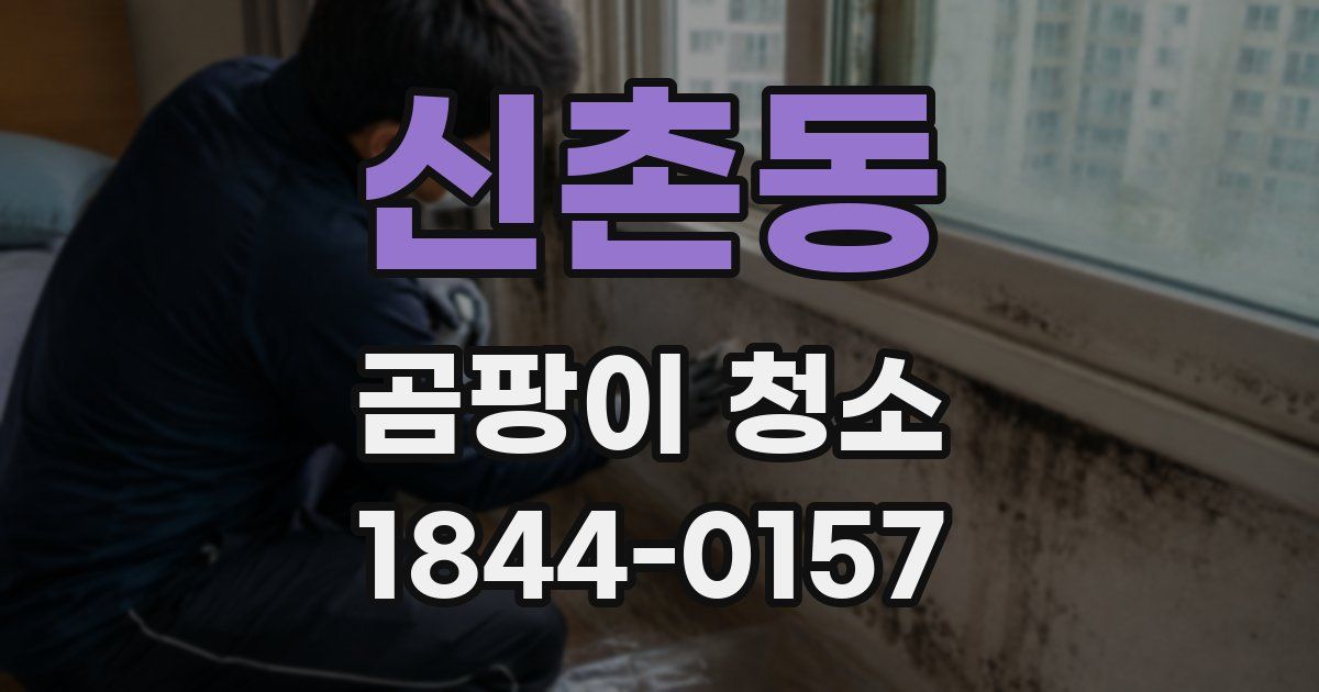 신촌동 곰팡이 청소