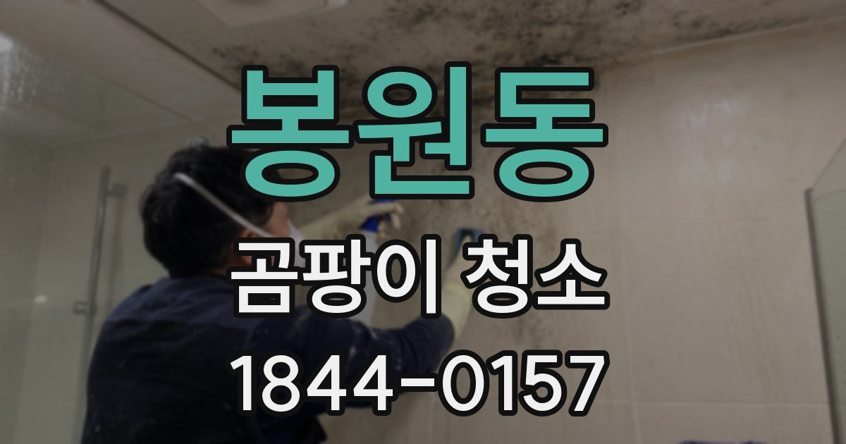 봉원동 곰팡이 청소