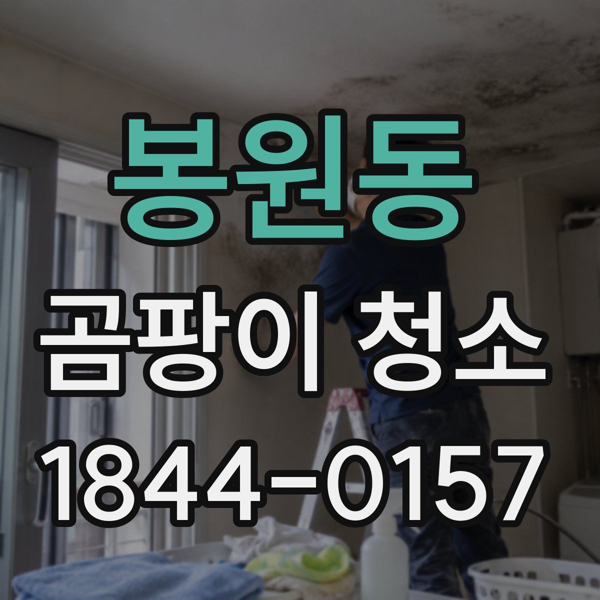 봉원동 곰팡이 청소