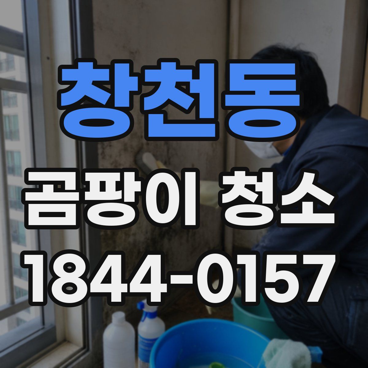 창천동 곰팡이 청소