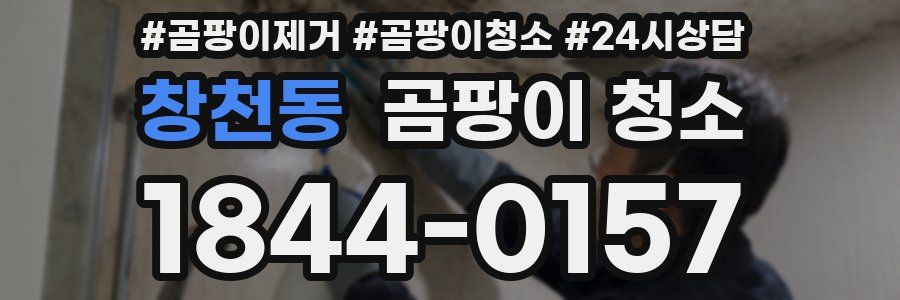 창천동 곰팡이 청소