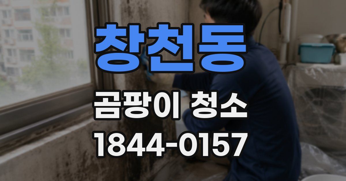 창천동 곰팡이 청소