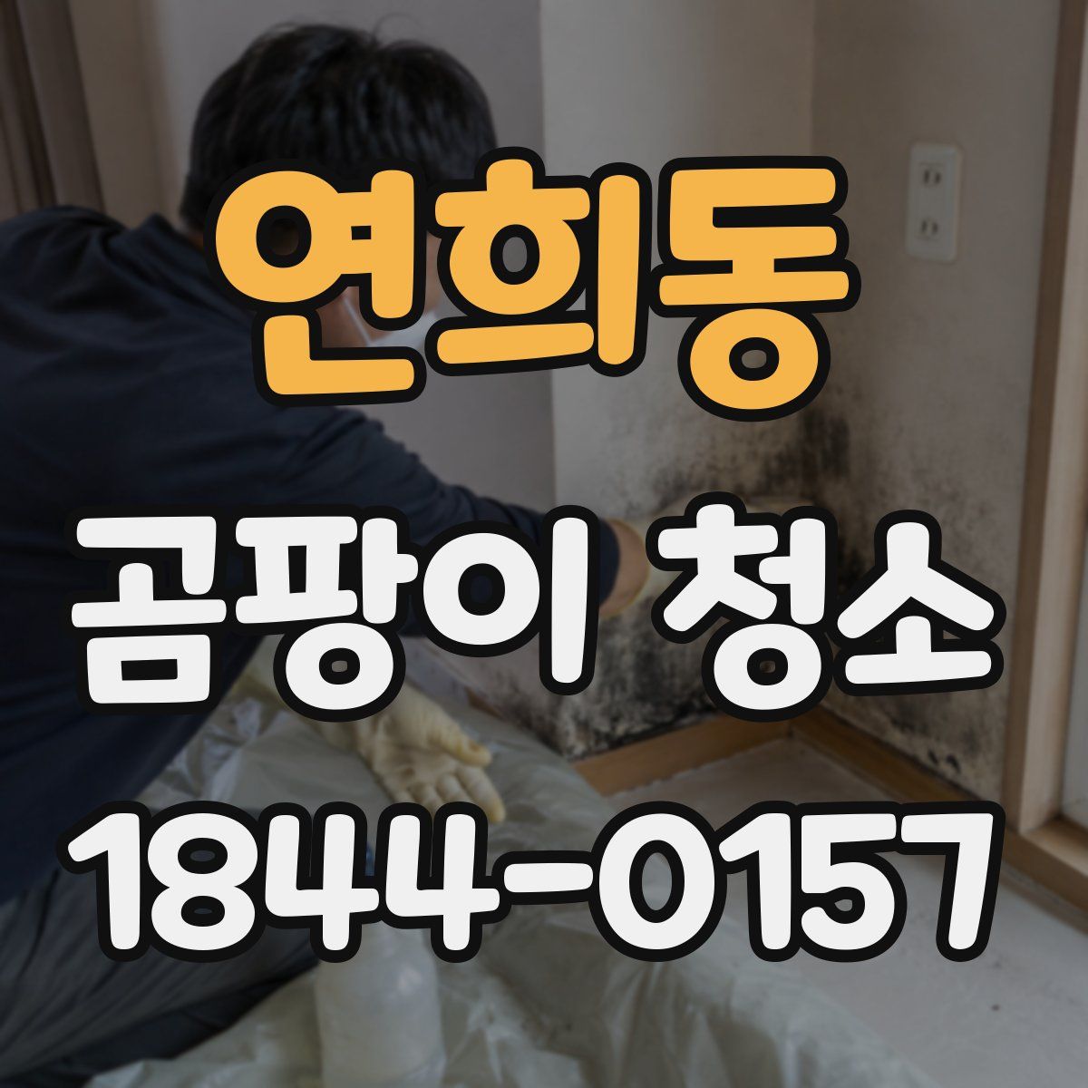 연희동 곰팡이 청소