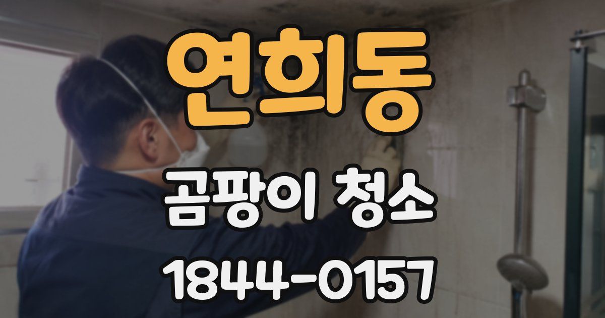 연희동 곰팡이 청소