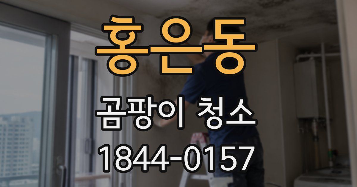 홍은동 곰팡이 청소