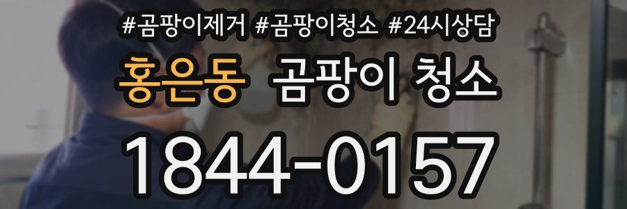 홍은동 곰팡이 청소