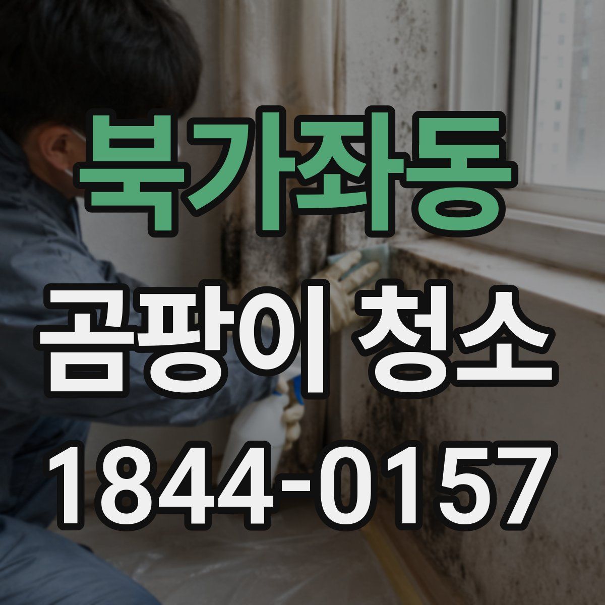 북가좌동 곰팡이 청소