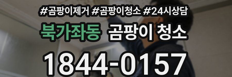 북가좌동 곰팡이 청소