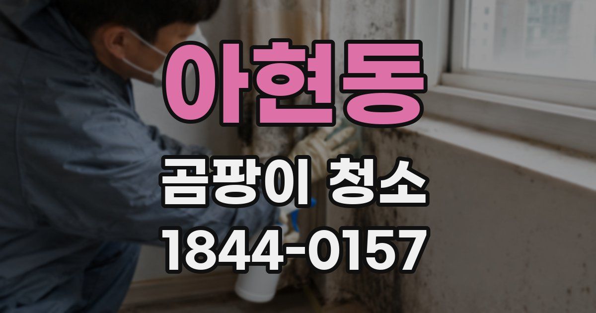 아현동 곰팡이 청소