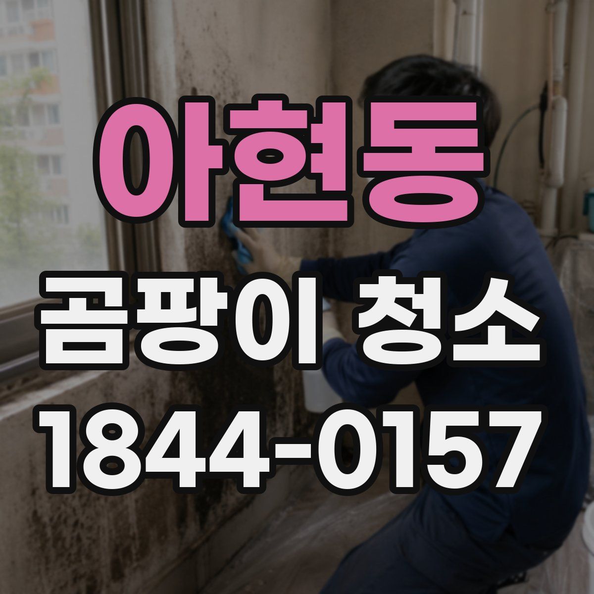 아현동 곰팡이 청소