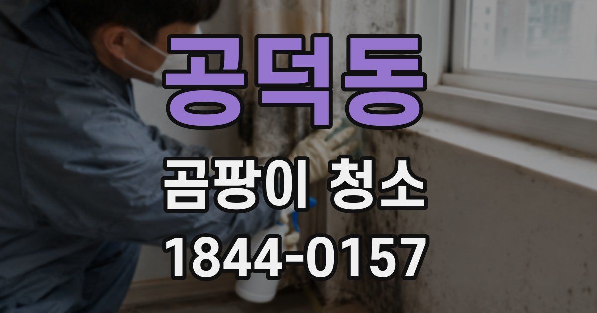 공덕동 곰팡이 청소