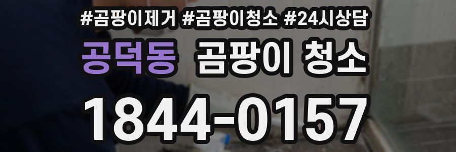 공덕동 곰팡이 청소