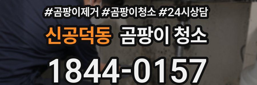 신공덕동 곰팡이 청소