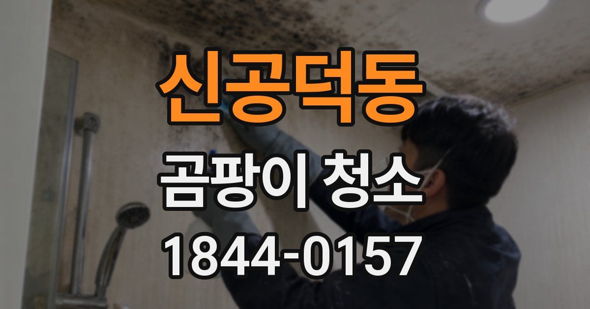 신공덕동 곰팡이 청소