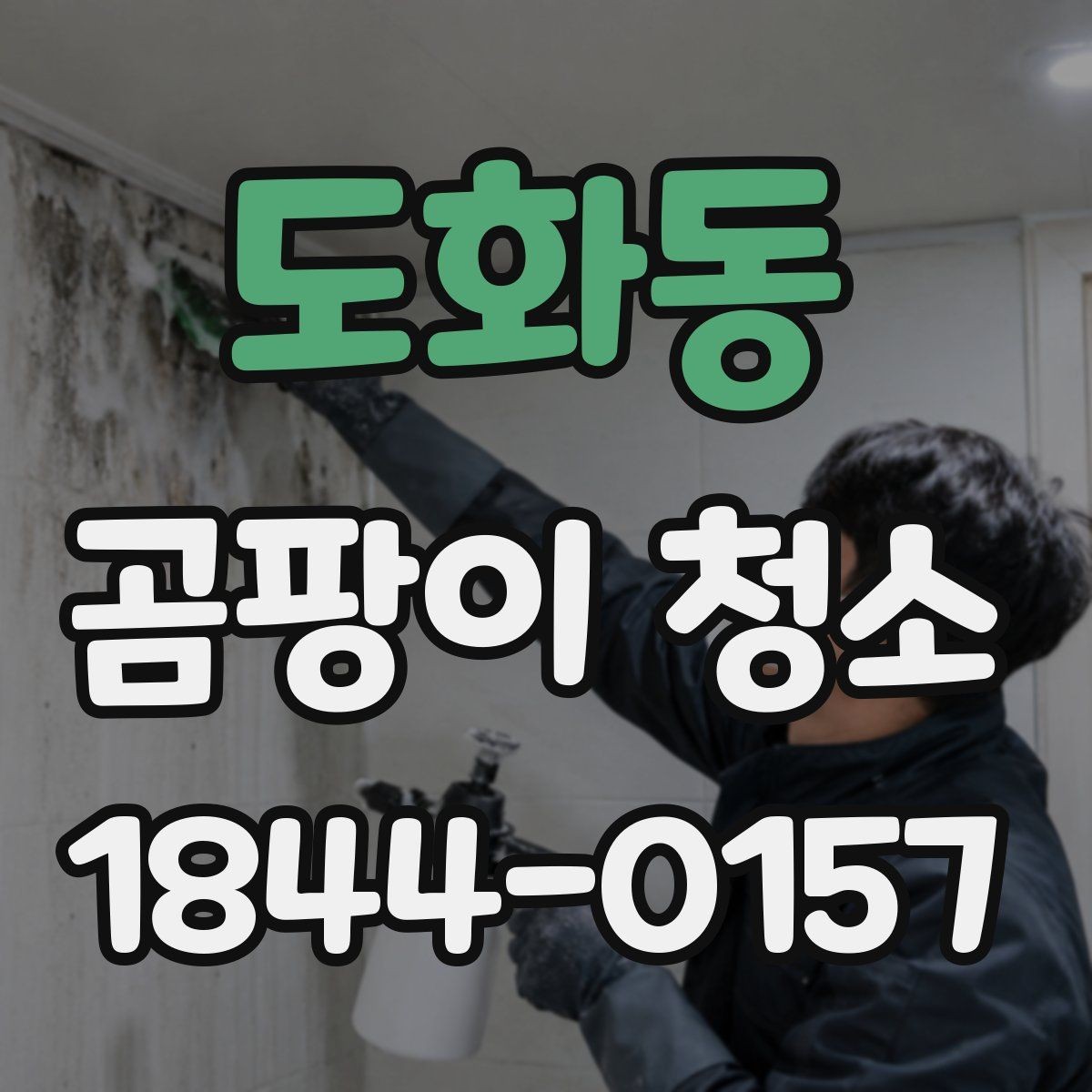 도화동 곰팡이 청소 포자 확산을 줄이는 작업 준비와 동선