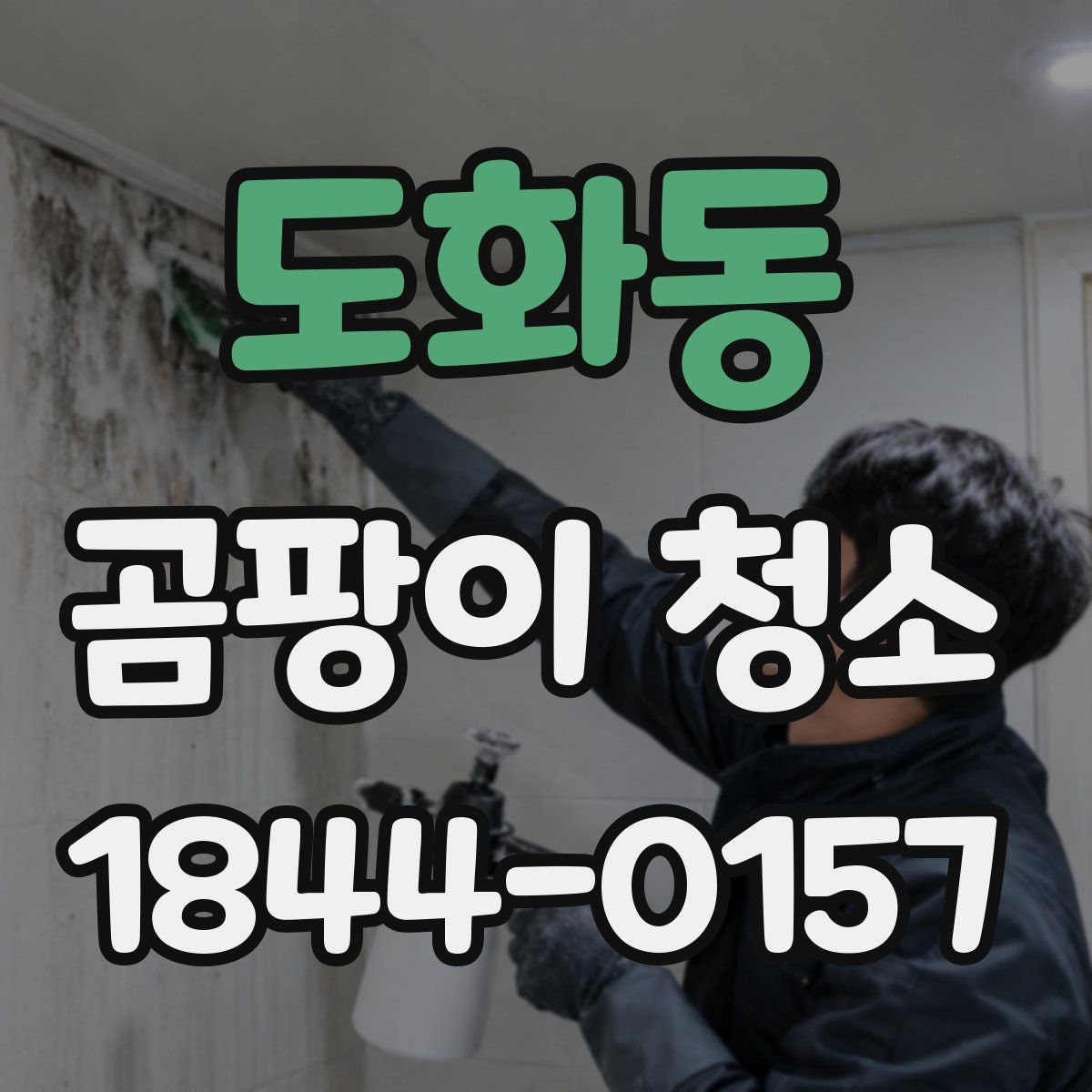 도화동 곰팡이 청소