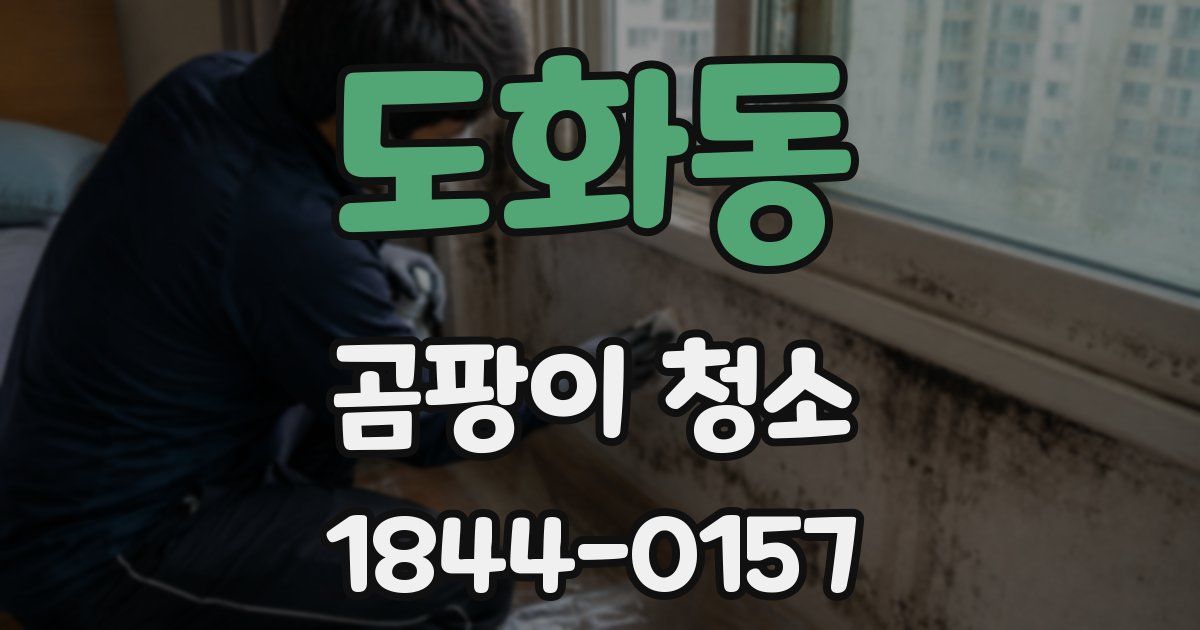 도화동 곰팡이 청소