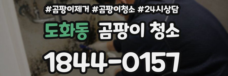도화동 곰팡이 청소