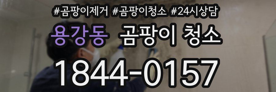 용강동 곰팡이 청소