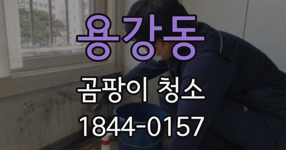 용강동 곰팡이 청소