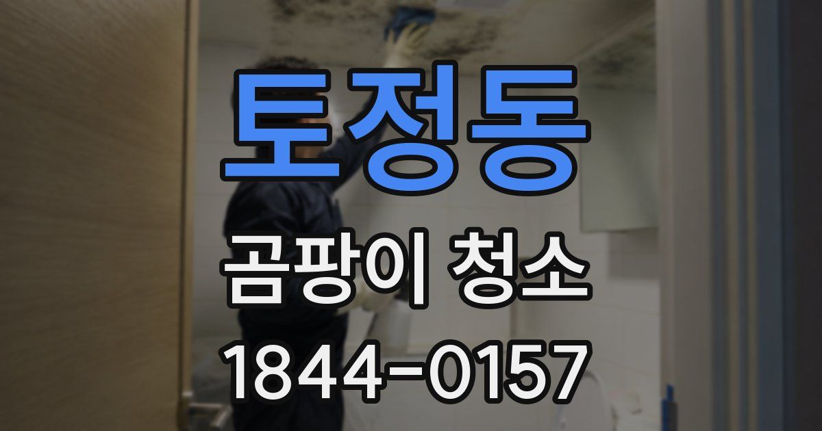 토정동 곰팡이 청소