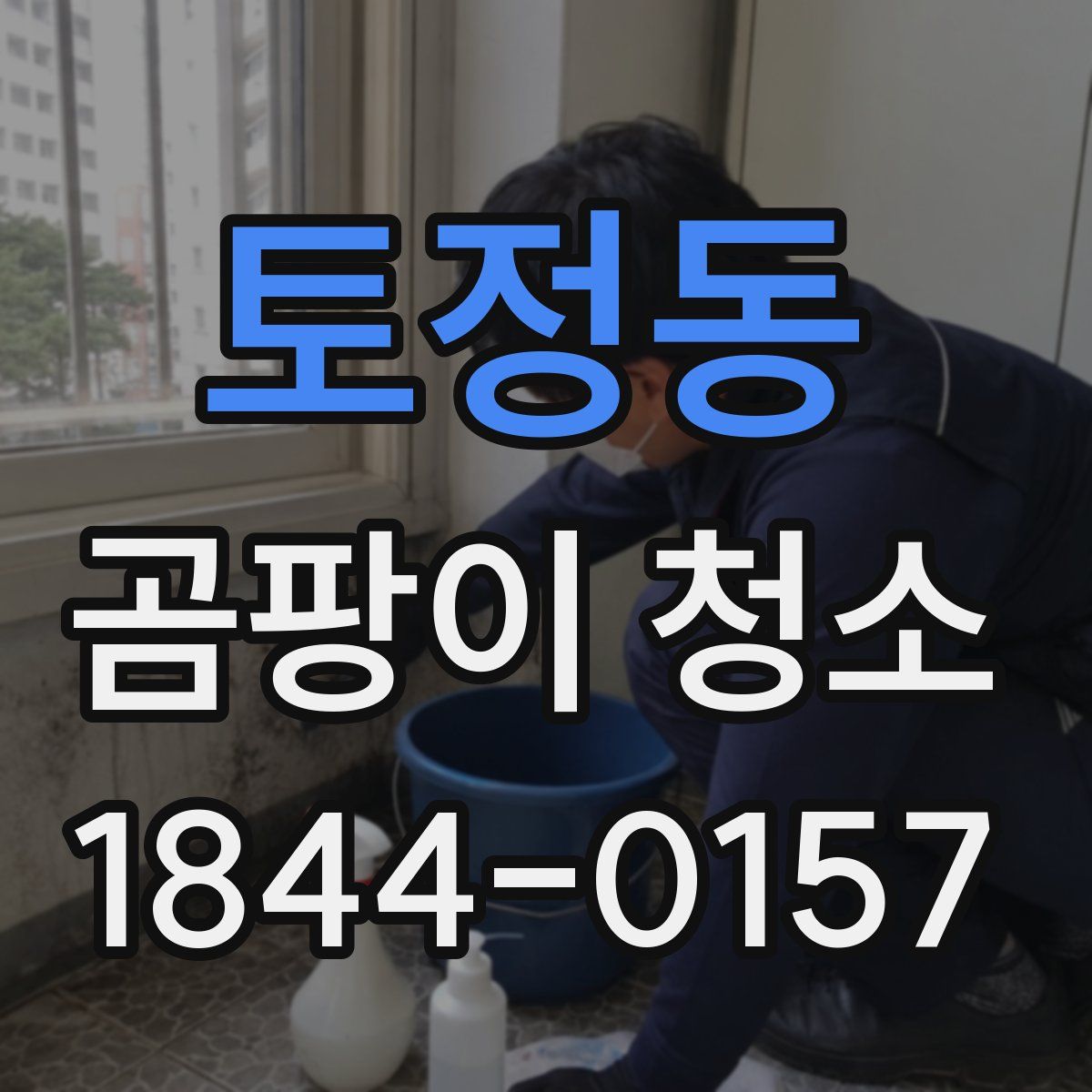 토정동 곰팡이 청소